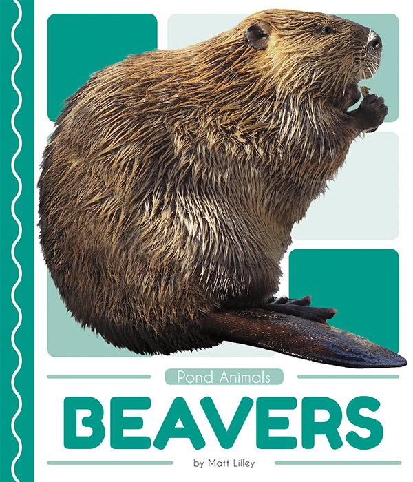 This book introduces readers to the life cycle, behavior, physical characteristics, and habitat of beavers. Vivid photographs and easy-to-read text aid comprehension for early readers. Features include a table of contents, an infographic, fun facts, Making Connections questions, a glossary, and an index. QR Codes in the book give readers access to book-specific resources to further their learning.