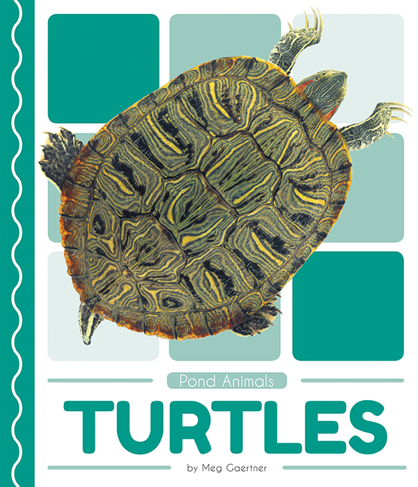 This book introduces readers to the life cycle, behavior, physical characteristics, and habitat of turtles. Vivid photographs and easy-to-read text aid comprehension for early readers. Features include a table of contents, an infographic, fun facts, Making Connections questions, a glossary, and an index. QR Codes in the book give readers access to book-specific resources to further their learning.