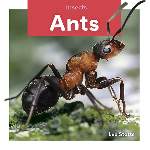 This title focuses on ants and gives information related to their bodies, habitats, food, and life cycles. The title is complete with beautiful and colorful photographs, simple text, and a database for added activities. Aligned to Common Core Standards and correlated to state standards. Launch! is an imprint of Abdo Zoom, a division of ABDO.