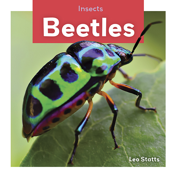 This title focuses on beetles and gives information related to their bodies, habitats, food, and life cycles. The title is complete with beautiful and colorful photographs, simple text, and a database for added activities. Aligned to Common Core Standards and correlated to state standards. Launch! is an imprint of Abdo Zoom, a division of ABDO.