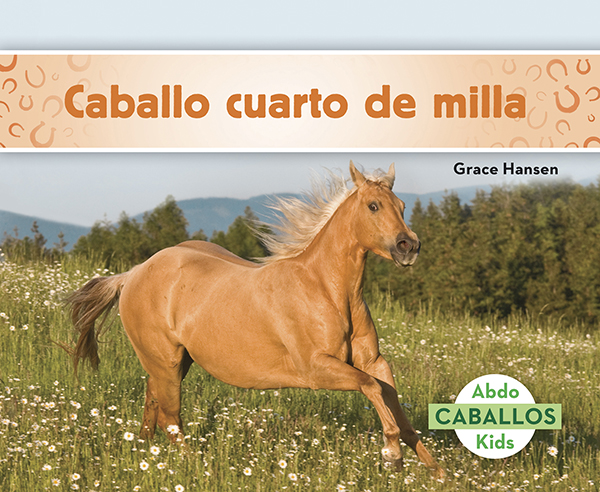 Caballo Cuarto De Milla (Quarter Horses)