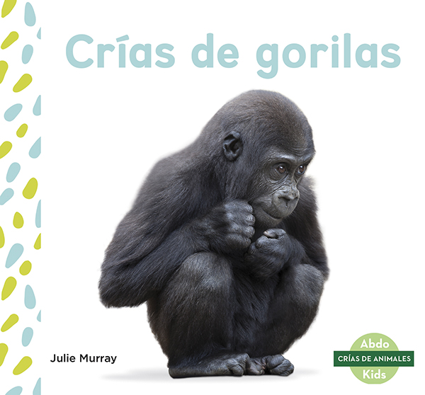 This title explores the life of a gorilla from birth to adulthood. The title will show readers what baby gorillas like to eat, how long they rely on their mothers, and at what ages they start learning new things. Aligned to Common Core Standards and correlated to state standards. Abdo Kids Junior is an imprint of Abdo Kids, a division of ABDO. Translated by native Spanish speakers--and immersion school educators.
