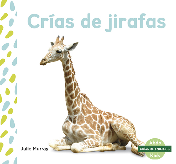This title explores the life of a giraffe from birth to adulthood. The title will show readers what baby giraffes like to eat, how long they rely on their mothers, and at what ages they start learning new things. Aligned to Common Core Standards and correlated to state standards. Abdo Kids Junior is an imprint of Abdo Kids, a division of ABDO. Translated by native Spanish speakers--and immersion school educators.