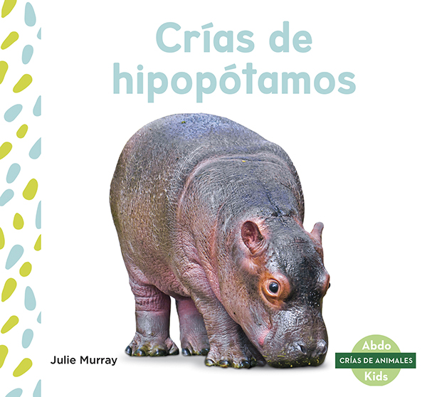 This title explores the life of a hippopotamus from birth to adulthood. The title will show readers what baby hippos like to eat, how long they rely on their mothers, and at what ages they start learning new things. Aligned to Common Core Standards and correlated to state standards. Abdo Kids Junior is an imprint of Abdo Kids, a division of ABDO. Translated by native Spanish speakers--and immersion school educators.