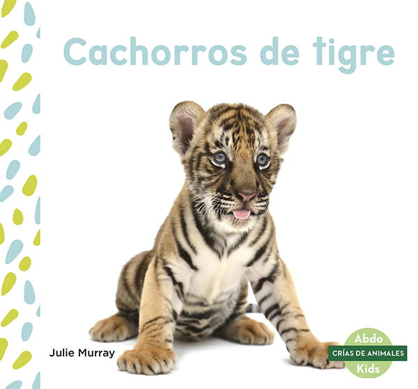 This title explores the life of a tiger from birth to adulthood. The title will show readers what baby tigers like to eat, how long they rely on their mothers, and at what ages they start learning new things. Aligned to Common Core Standards and correlated to state standards. Abdo Kids Junior is an imprint of Abdo Kids, a division of ABDO. Translated by native Spanish speakers--and immersion school educators.