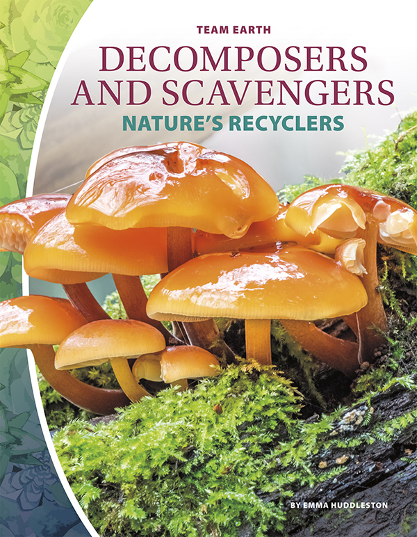 When living things die, it is important that they get broken down. Scavengers help break dead things into smaller pieces. Decomposers can then turn those pieces into nutrients for the soil. Scavengers and Decomposers: Nature's Recyclers looks at how animals and other organisms make the world a better place by breaking down waste, as well as the threats they face and how people can protect them. Easy-to-read text, vivid images, and helpful back matter give readers a clear look at this subject. Features include a table of contents, infographics, a glossary, additional resources, and an index. Aligned to Common Core Standards and correlated to state standards. Core Library is an imprint of Abdo Publishing, a division of ABDO.