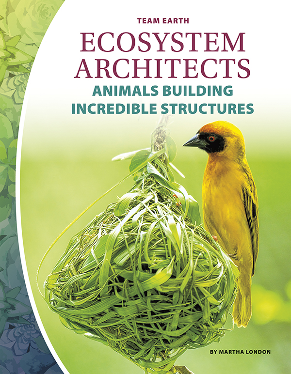 Some animals burrow into the ground, letting air and water reach plants’ roots. Others build nests in which to raise young. When they’re grown, other animals can reuse the nest. Ecosystem Architects: Animals Building Incredible Structures looks at how animal builders make the world a better place, as well as the threats they face and how people can protect them. Easy-to-read text, vivid images, and helpful back matter give readers a clear look at this subject. Features include a table of contents, infographics, a glossary, additional resources, and an index. Aligned to Common Core Standards and correlated to state standards. Core Library is an imprint of Abdo Publishing, a division of ABDO.