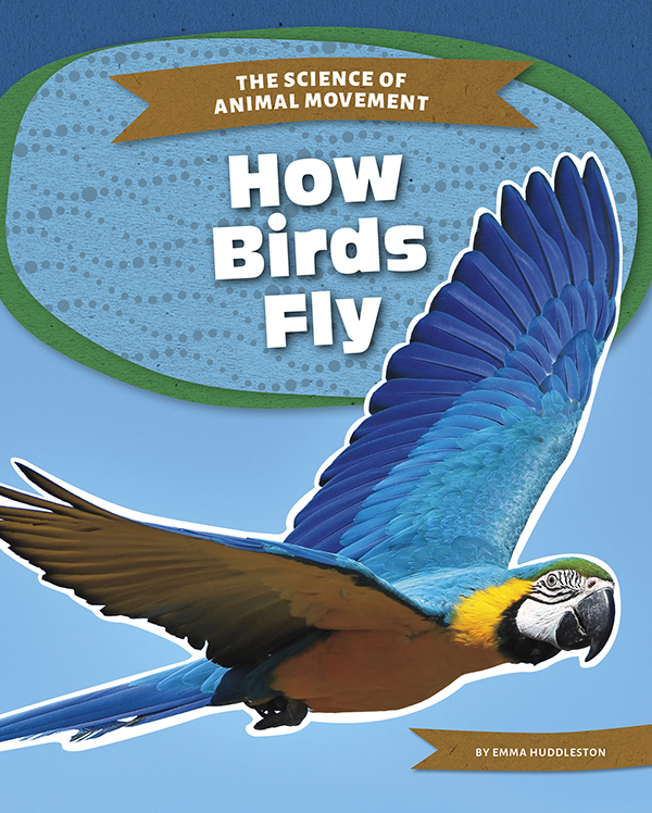 Birds flap their wings and rise into the air. Science explains how a bird can travel in the air. How Birds Fly explains how a bird’s body lets it fly high as well as the forces at work to keep it in the sky. Easy-to-read text, vivid images, and helpful back matter give readers a clear look at this subject. Features include a table of contents, infographics, a glossary, additional resources, and an index. Aligned to Common Core Standards and correlated to state standards.