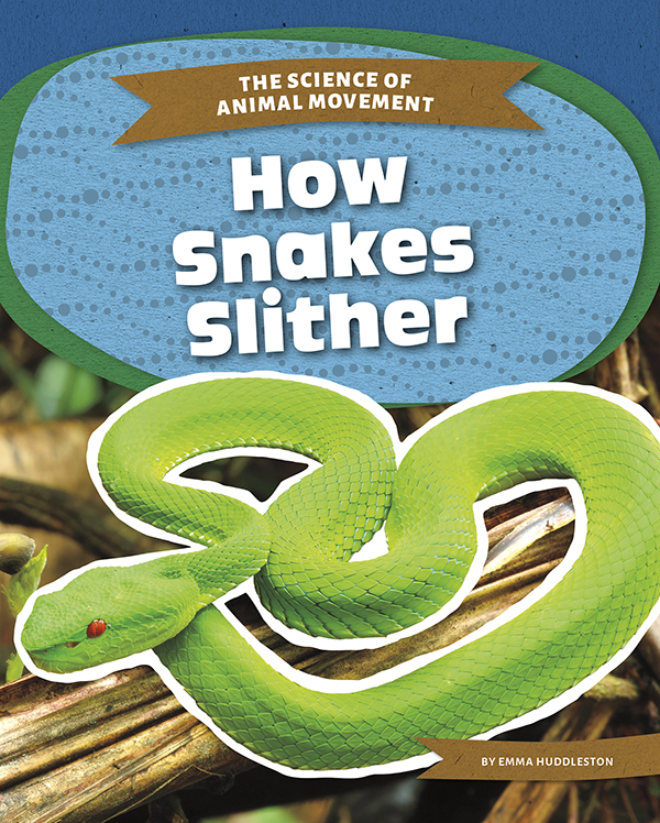 A snake slithers in an S shape along the forest floor. Science explains how snakes move without limbs. How Snakes Slither explains how a snake’s body lets it move smoothly across many surfaces as well as the forces at work that help them glide across the ground. Easy-to-read text, vivid images, and helpful back matter give readers a clear look at this subject. Features include a table of contents, infographics, a glossary, additional resources, and an index. Aligned to Common Core Standards and correlated to state standards.