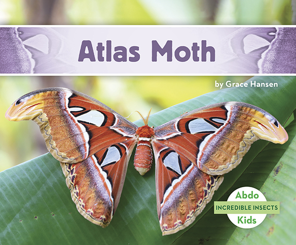 This title will introduce readers to Atlas moths. Readers will learn where these insects can be found, how they survive, and what makes them so incredible. Complete with great, up-close photographs. Aligned to Common Core standards & correlated to state standards.