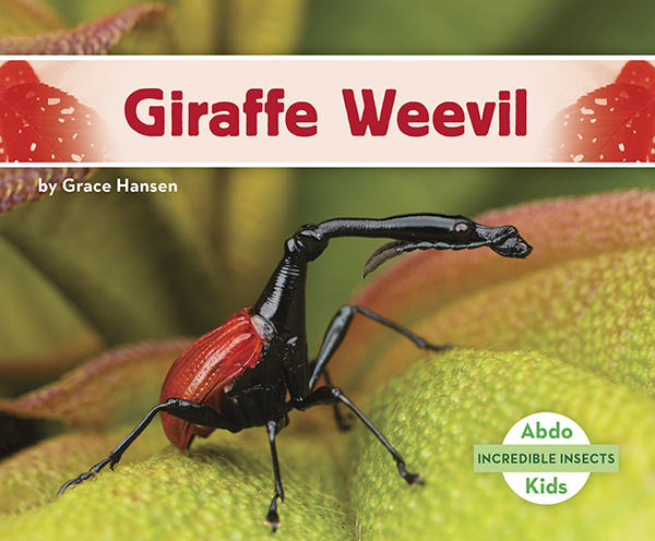 This title will introduce readers to giraffe weevils. Readers will learn where these insects can be found, how they survive, and how they got their name. Complete with great, up-close photographs. Aligned to Common Core standards & correlated to state standards.