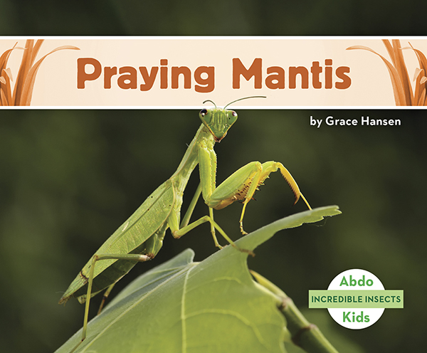 This title will introduce readers to praying mantises. Readers will learn where these insects can be found, how they survive, and why their peaceful name might be misleading. Complete with great, up-close photographs. Aligned to Common Core standards & correlated to state standards.
