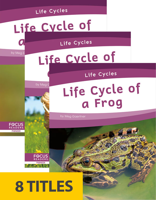 All organisms go through changes during their lives. However, these changes can look very different from species to species. This informative series gives simple explanations of the life cycles of eight organisms, including the stages of development and changes each organism goes through to become an adult. Each book includes a table of contents, one infographic, informative sidebars, a 