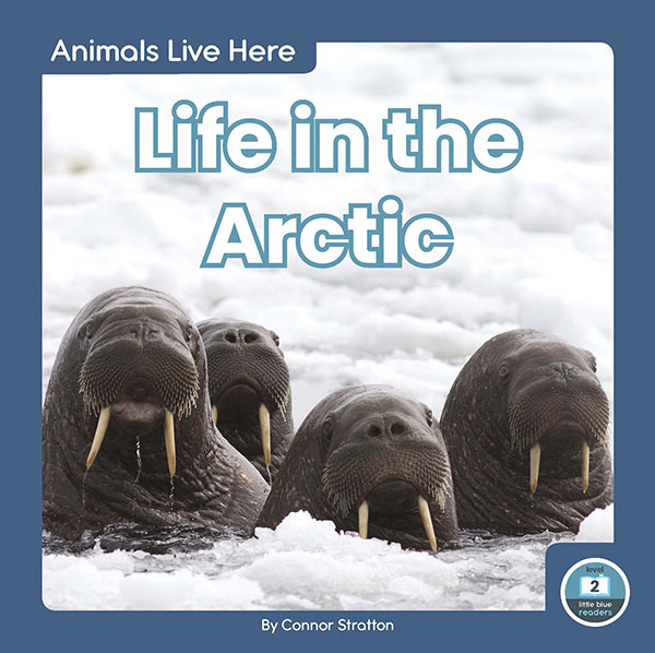 This title introduces readers to the kinds of animals that live in the arctic. Simple text, straightforward photos, and a photo glossary make this title the perfect introduction to life in the arctic.