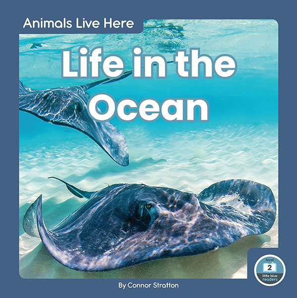 This title introduces readers to the kinds of animals that live in oceans. Simple text, straightforward photos, and a photo glossary make this title the perfect introduction to life in the ocean.