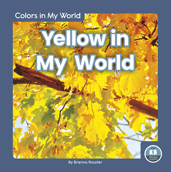This title identifies places where young readers might find the color yellow. Simple text with closely matching pictures and a photo glossary makes this book perfect for beginning readers.