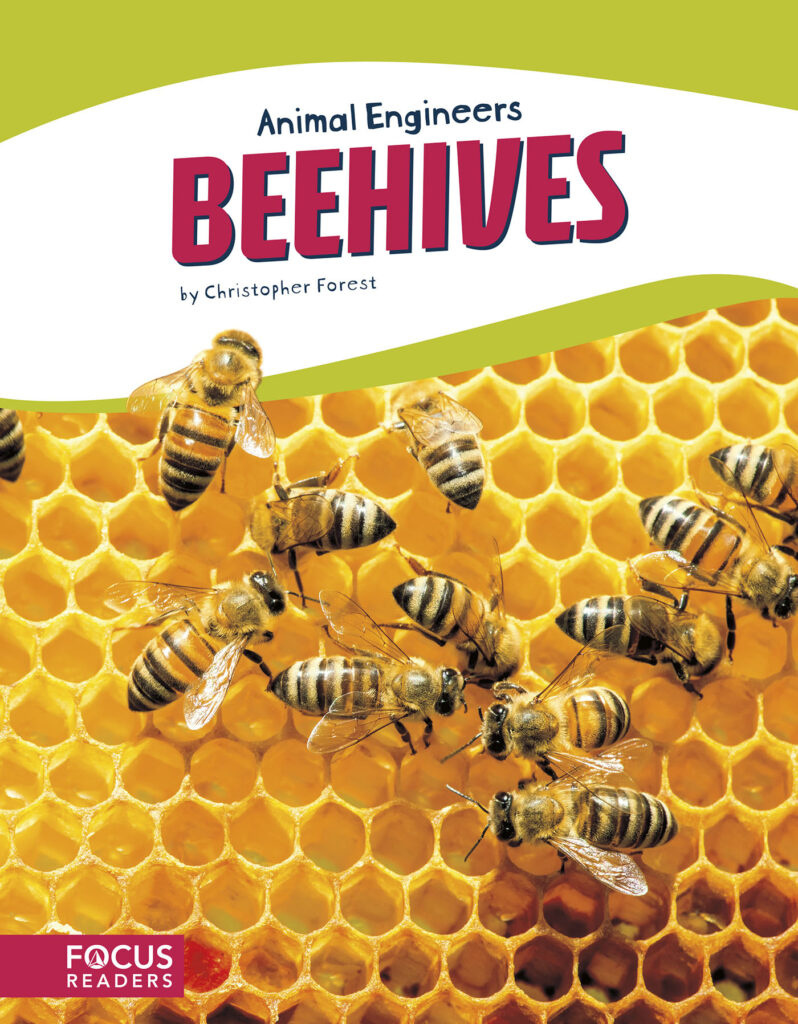 Explains the process and materials that bees use to build hives. This book's colorful photos, clear text, and 