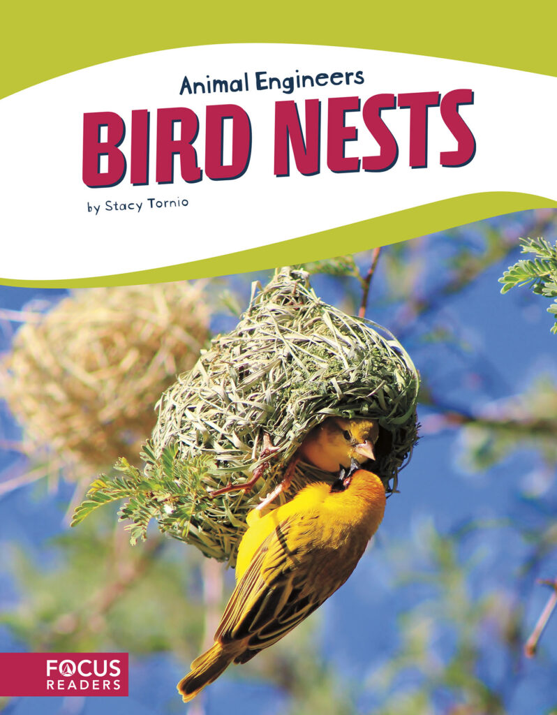 Explains the process and materials that birds use to build nests. This book's colorful photos, clear text, and 