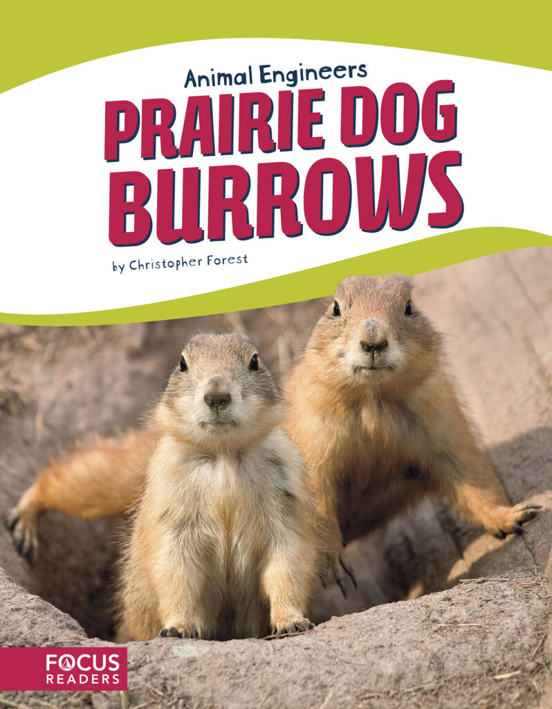 Explains the process and materials that prairie dogs use to build burrows. This book's colorful photos, clear text, and 