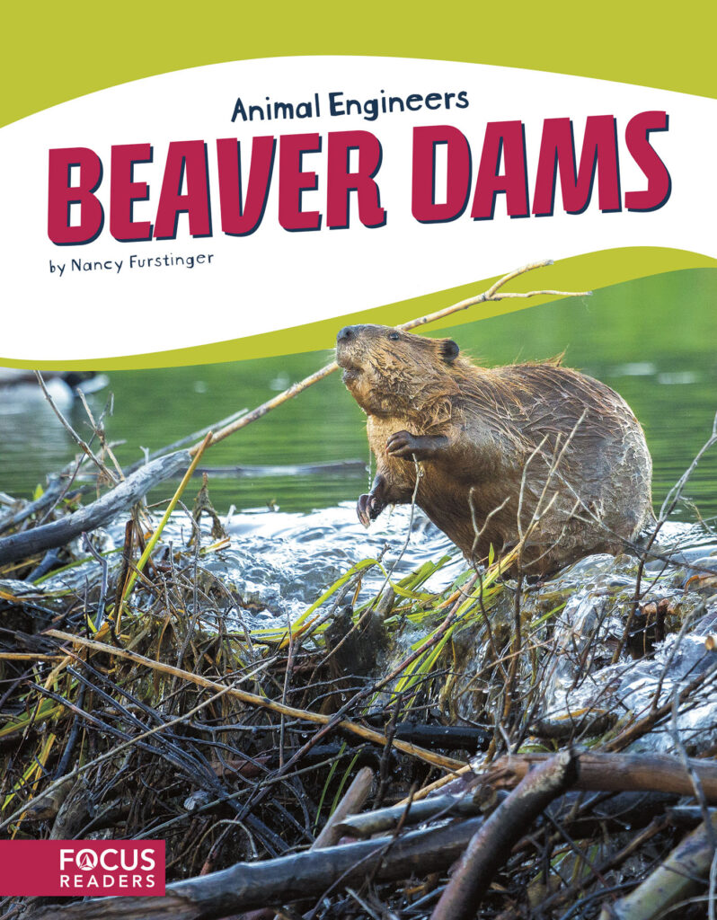 Explains the process and materials that beavers use to build dams. This book's colorful photos, clear text, and 
