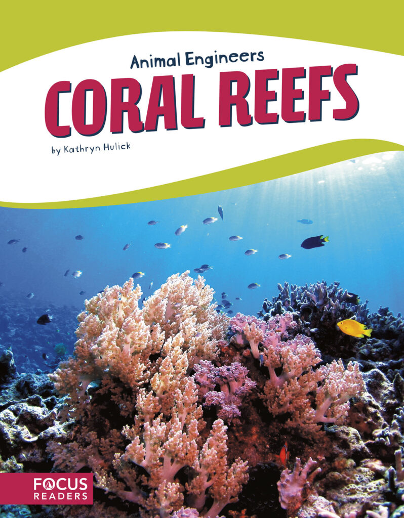 Explains the process and materials that corals use to build reefs. This book's colorful photos, clear text, and 