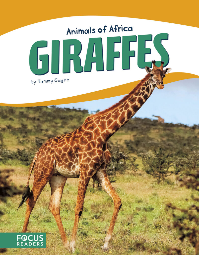 Introduces readers to the life, diet, habitat, behavior, and physical description of giraffes. Colorful spreads, fun facts, diagrams, a range map, and a special reading feature make this an exciting read for animal lovers and report writers alike.