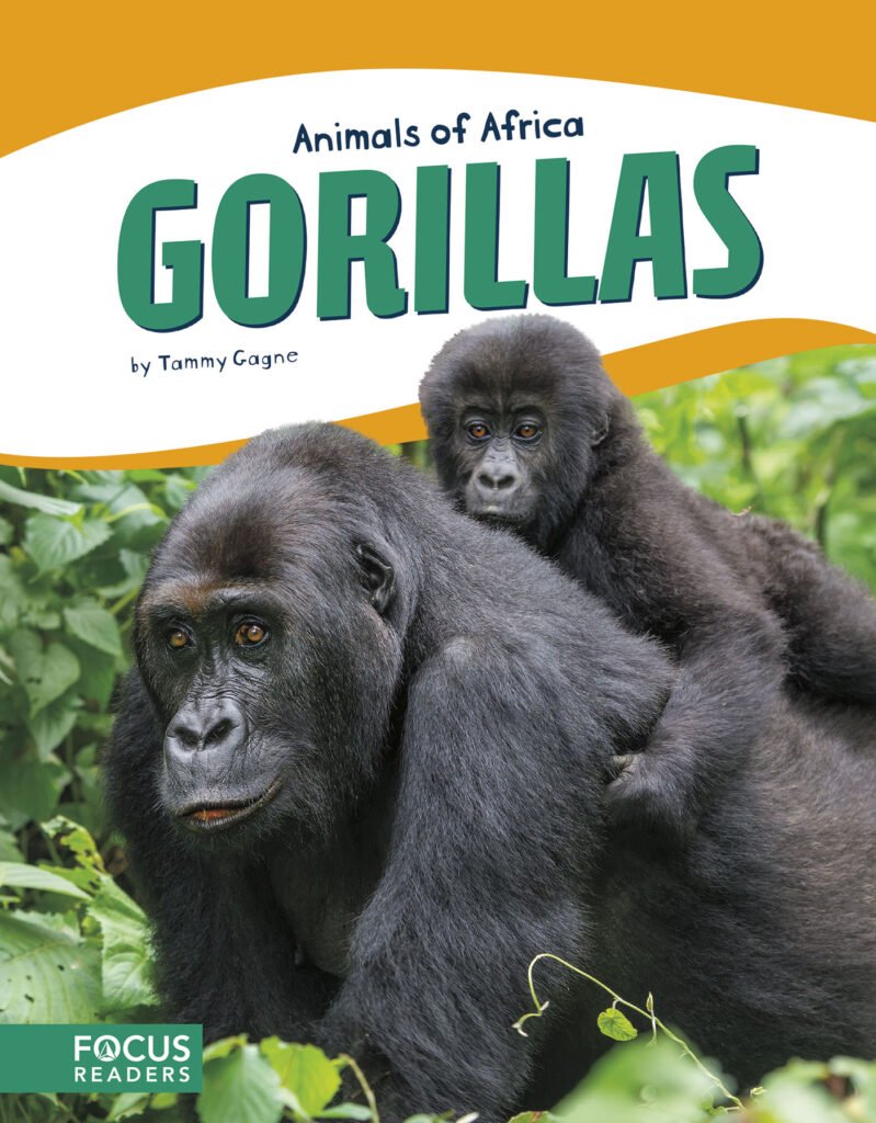 Introduces readers to the life, diet, habitat, behavior, and physical description of gorillas. Colorful spreads, fun facts, diagrams, a range map, and a special reading feature make this an exciting read for animal lovers and report writers alike.