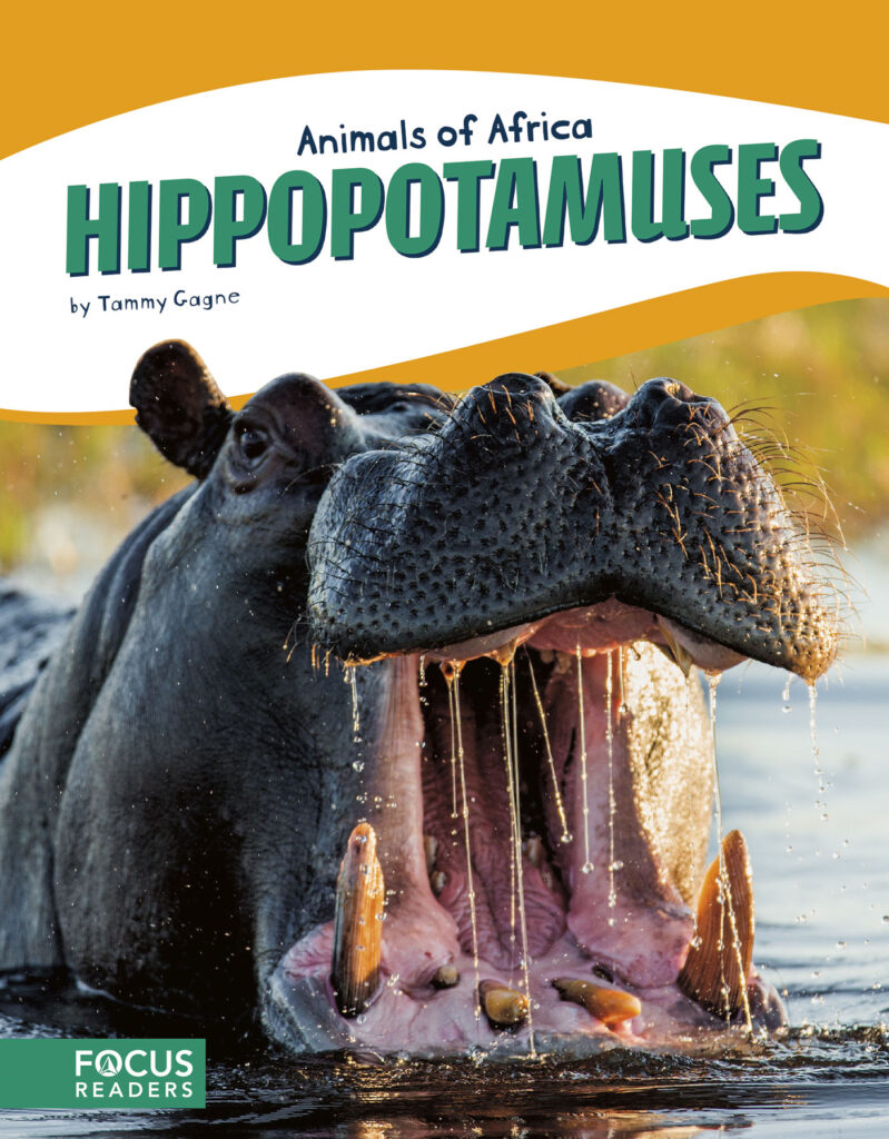 Introduces readers to the life, diet, habitat, behavior, and physical description of hippopotamuses. Colorful spreads, fun facts, diagrams, a range map, and a special reading feature make this an exciting read for animal lovers and report writers alike.