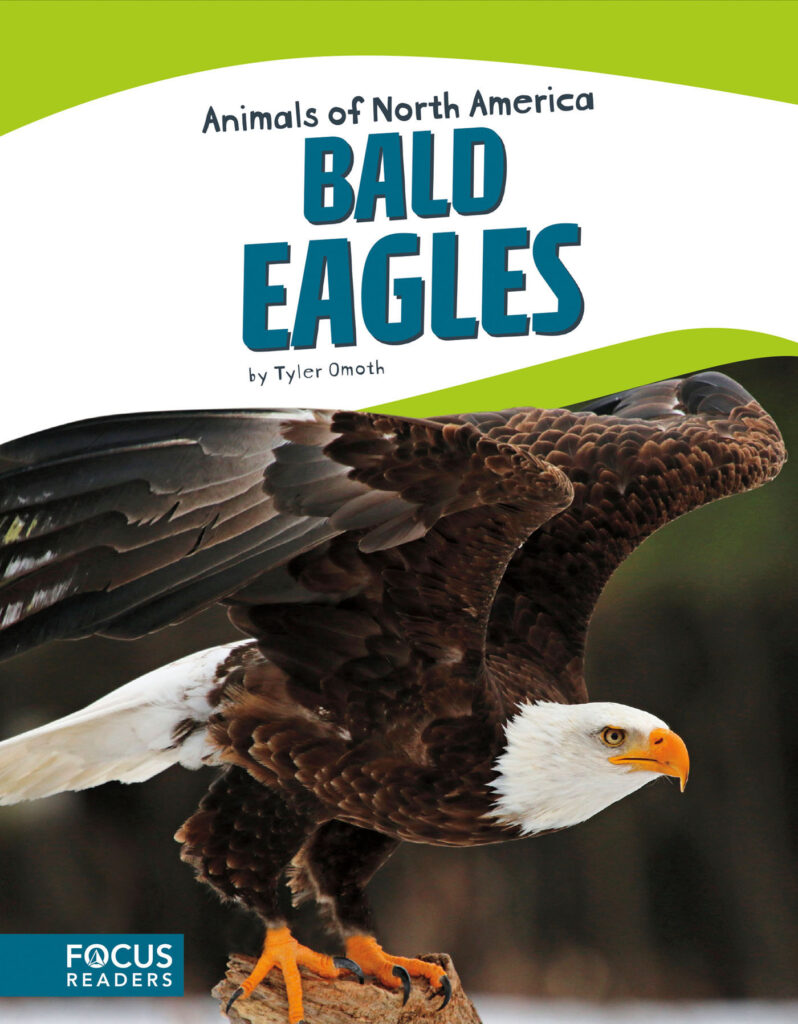 Introduces readers to the life, diet, habitat, behavior, and physical description of bald eagles. Colorful spreads, fun facts, diagrams, a range map, and a special reading feature make this an exciting read for animal lovers and report writers alike.
