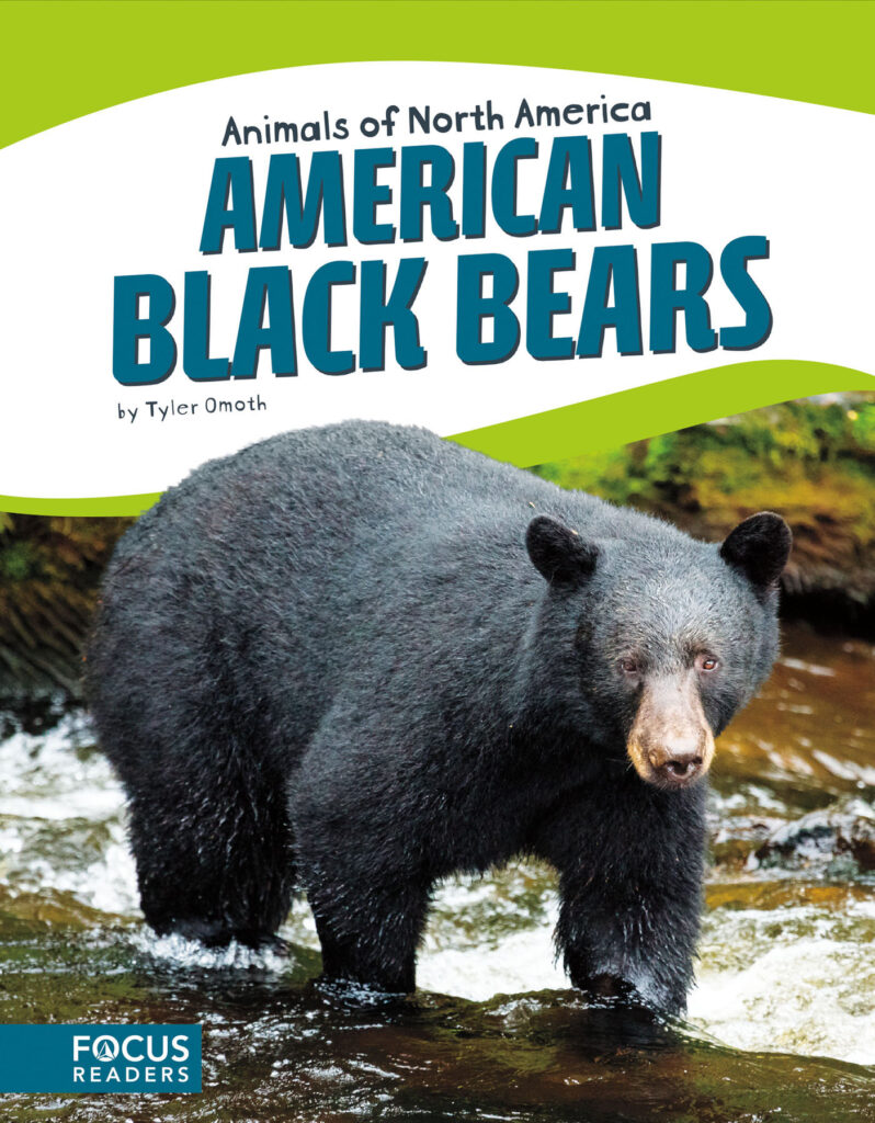 Introduces readers to the life, diet, habitat, behavior, and physical description of American black bears. Colorful spreads, fun facts, diagrams, a range map, and a special reading feature make this an exciting read for animal lovers and report writers alike.