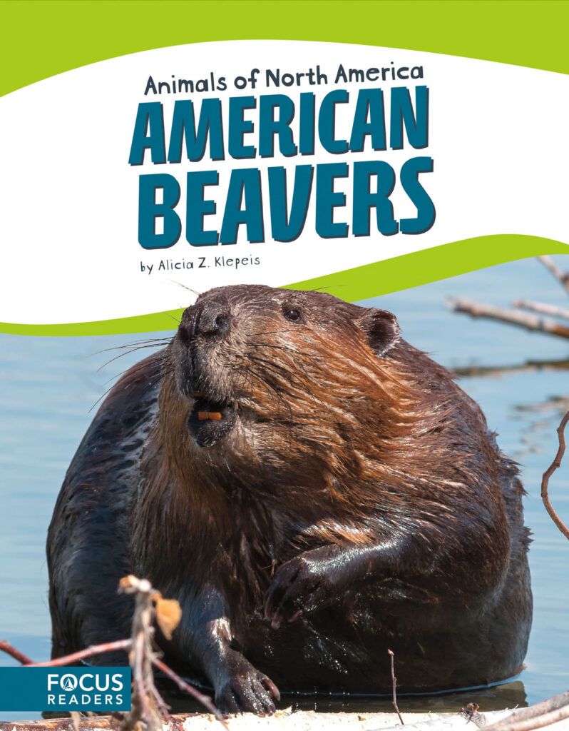 Introduces readers to the life, diet, habitat, behavior, and physical description of American beavers. Colorful spreads, fun facts, diagrams, a range map, and a special reading feature make this an exciting read for animal lovers and report writers alike.