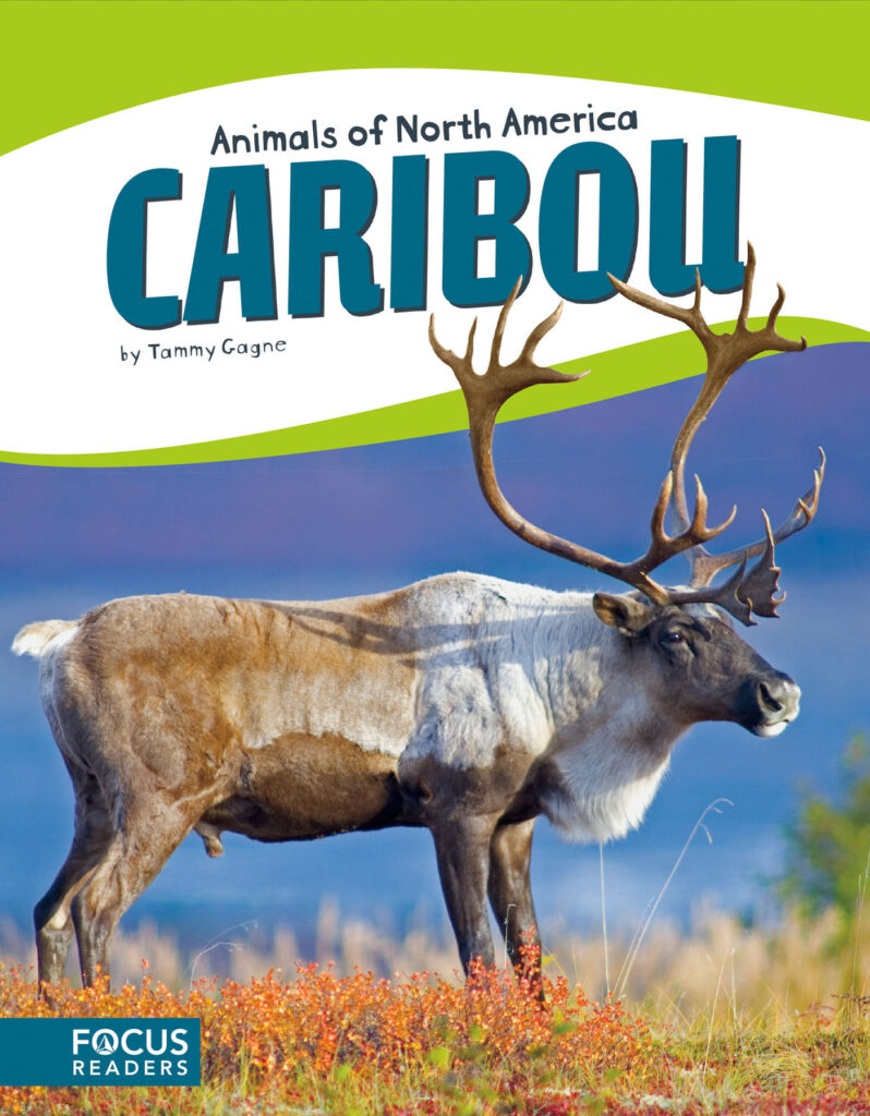 Introduces readers to the life, diet, habitat, behavior, and physical description of caribou. Colorful spreads, fun facts, diagrams, a range map, and a special reading feature make this an exciting read for animal lovers and report writers alike.