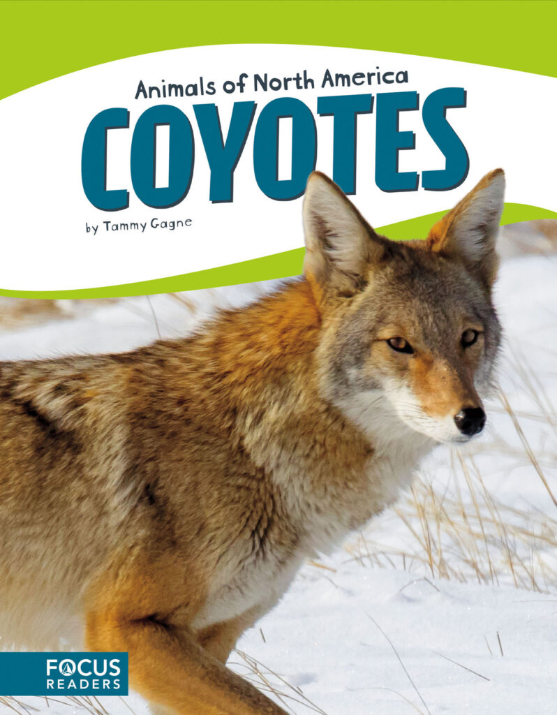 Introduces readers to the life, diet, habitat, behavior, and physical description of coyotes. Colorful spreads, fun facts, diagrams, a range map, and a special reading feature make this an exciting read for animal lovers and report writers alike.