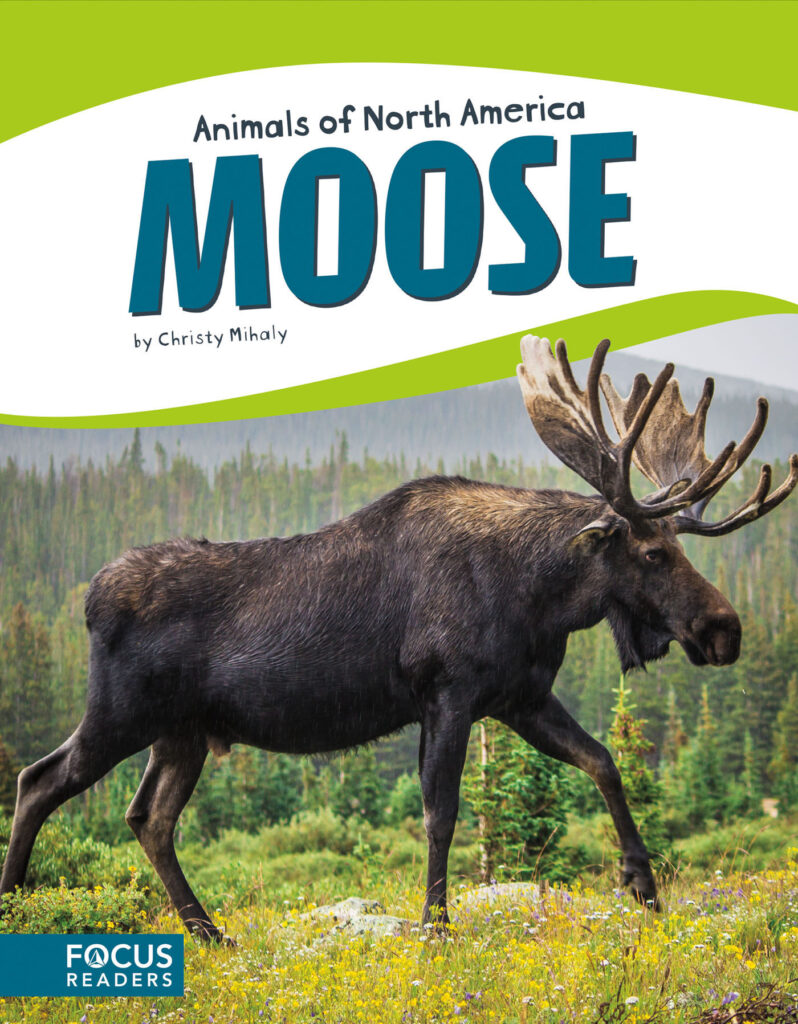 Introduces readers to the life, diet, habitat, behavior, and physical description of moose. Colorful spreads, fun facts, diagrams, a range map, and a special reading feature make this an exciting read for animal lovers and report writers alike.