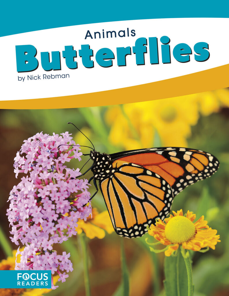 Introduces readers to the lives of butterflies. Simple text and colorful spreads make this book a perfect starting point for early readers.