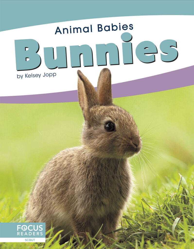 This title introduces readers to the first days, early changes, and growth of bunnies. Simple text, straightforward photos, and a photo glossary make this title the perfect primer on baby rabbits.