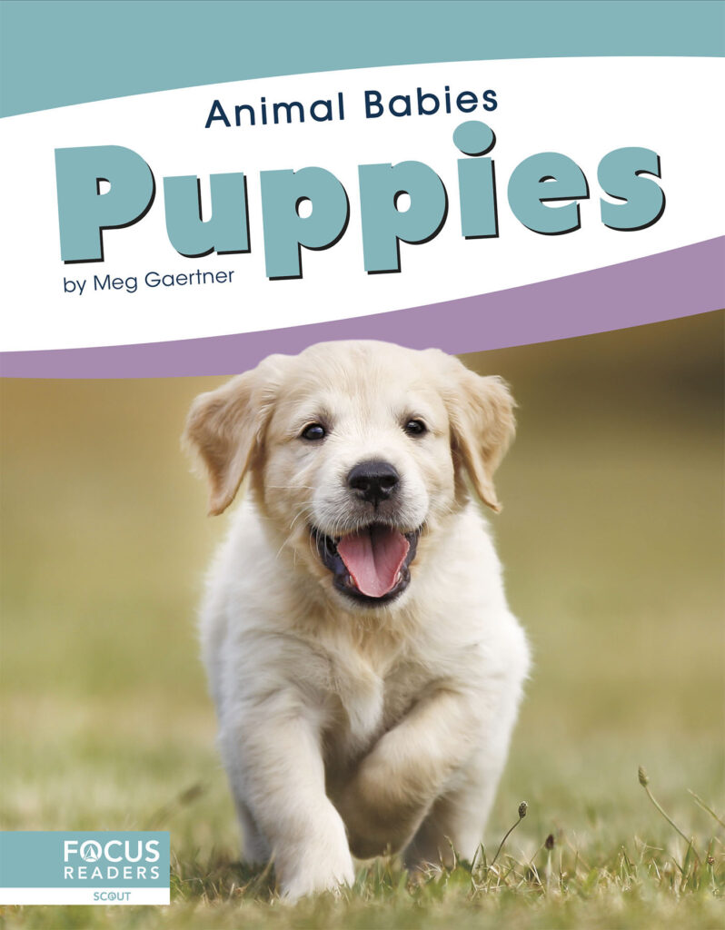 This title introduces readers to the first days, early changes, and growth of puppies. Simple text, straightforward photos, and a photo glossary make this title the perfect primer on baby dogs.