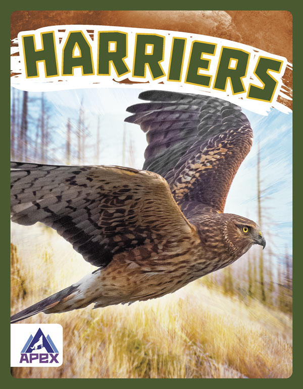 This book gives fascinating facts about harriers and their lives in the wild. Short paragraphs of easy-to-read text are paired with plenty of colorful photos to make reading engaging and accessible. The book also includes a table of contents, fun facts, sidebars, comprehension questions, a glossary, an index, and a list of resources for further reading. Apex books have low reading levels (grades 2-3) but are designed for older students, with interest levels of grades 3-7.