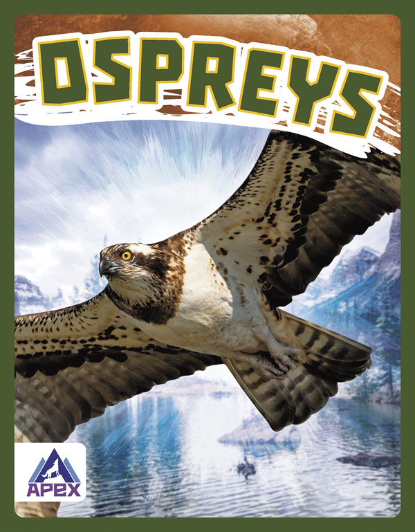 This book gives fascinating facts about ospreys and their lives in the wild. Short paragraphs of easy-to-read text are paired with plenty of colorful photos to make reading engaging and accessible. The book also includes a table of contents, fun facts, sidebars, comprehension questions, a glossary, an index, and a list of resources for further reading. Apex books have low reading levels (grades 2-3) but are designed for older students, with interest levels of grades 3-7.