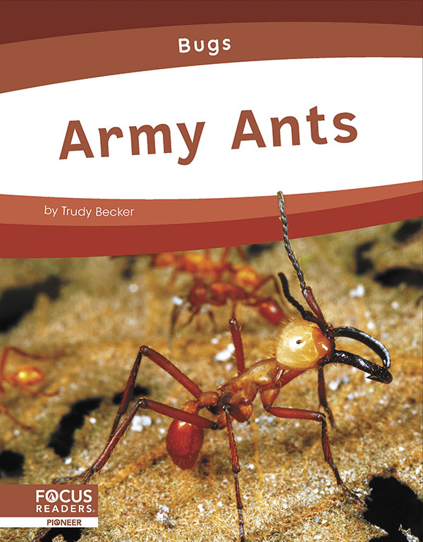 This informative book introduces young readers to the habitat, physical features, diet, and behavior of Army ants. The book also includes a 