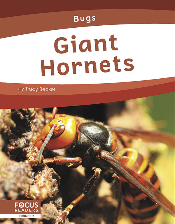 This informative book introduces young readers to the habitat, physical features, diet, and behavior of giant hornets. The book also includes a 