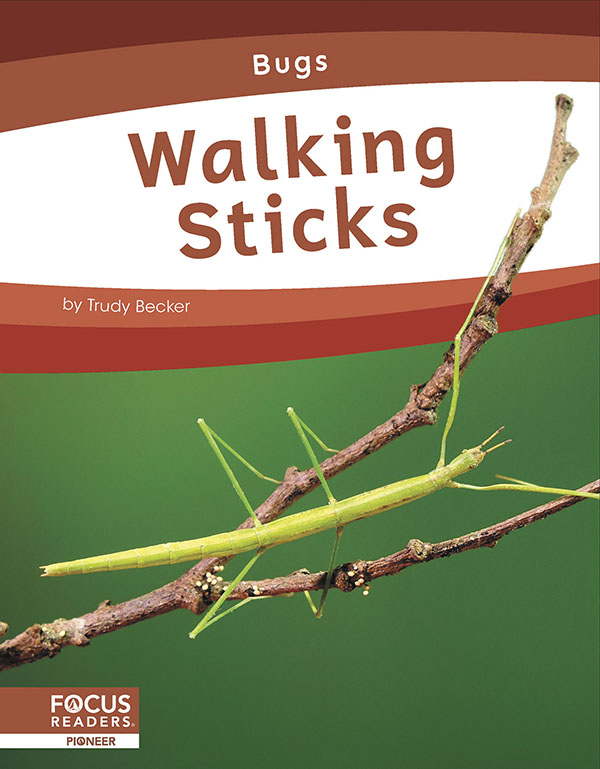 This informative book introduces young readers to the habitat, physical features, diet, and behavior of walking sticks. The book also includes a 