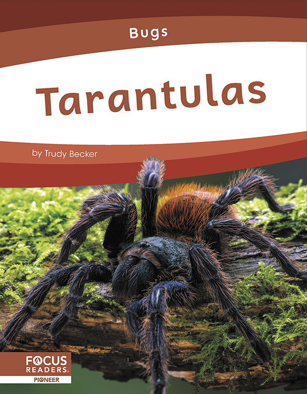 This informative book introduces young readers to the habitat, physical features, diet, and behavior of tarantulas. The book also includes a 