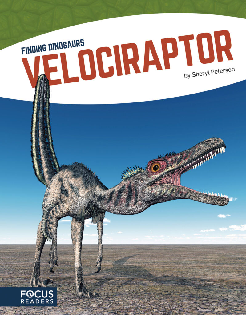 Explores what scientists have uncovered about Velociraptor. Colorful photos and illustrations help bring each dinosaur to life as easy-to-read text guides readers through important discoveries about its appearance, diet, and habitat.