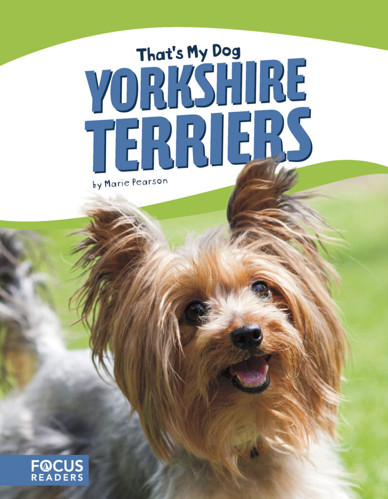 Introduces readers to the history, behavior, and physical description of Yorkshire Terriers. Colorful spreads, fun facts, and a special reading feature make this an exciting read for animal lovers and report writers alike.