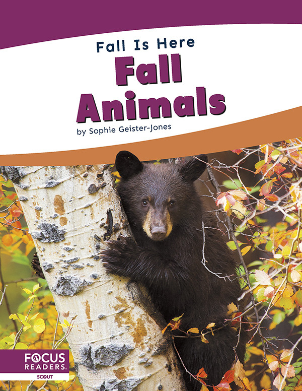 This title introduces early readers to animals in the fall. Simple text, engaging photos, and a photo glossary make this title the perfect introduction to animals in the fall.