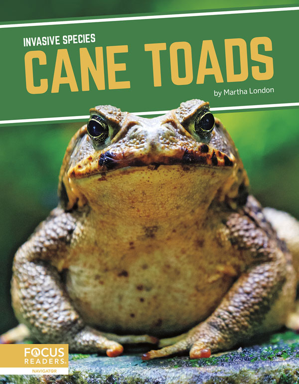 This title explores the role of cane toads in introduced environments, how humans helped spread the species, the threats they pose to ecosystems, and efforts being taken to manage them. This book also includes a table of contents, two infographics, informative sidebars, a “That’s Amazing!” special feature, quiz questions, a glossary, additional resources, and an index. This Focus Readers title is at the Navigator level, aligned to reading levels of grades 3–5 and interest levels of grades 4–7.