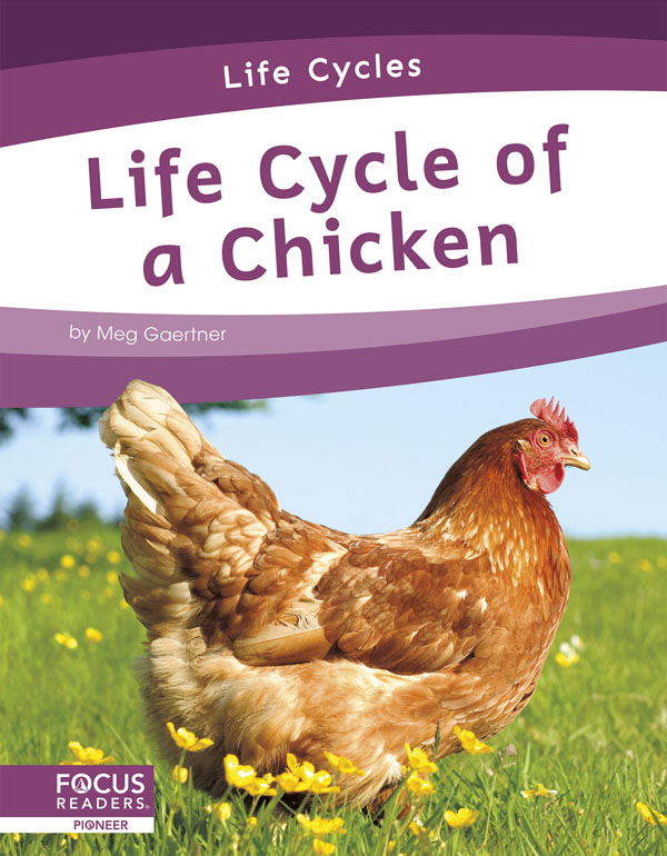 This informative book explains the life cycle of a chicken, including the stages of development and changes it goes through to become an adult. The book also includes a table of contents, one infographic, informative sidebars, a 