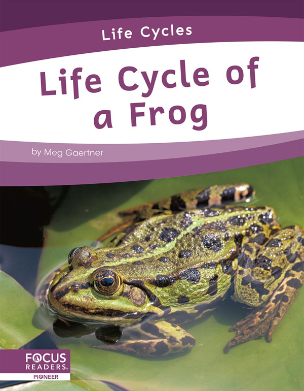 This informative book explains the life cycle of a frog, including the stages of development and changes it goes through to become an adult. The book also includes a table of contents, one infographic, informative sidebars, a 