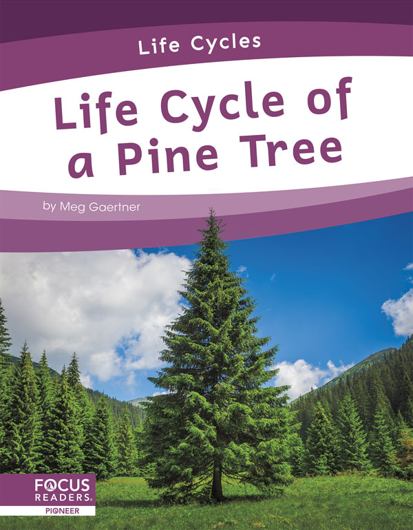 This informative book explains the life cycle of a pine tree, including the stages of development and changes it goes through to become an adult. The book also includes a table of contents, one infographic, informative sidebars, a 